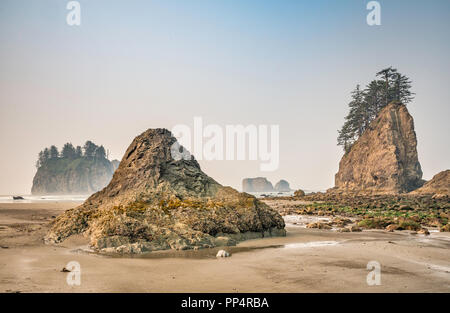 Quileute Nadeln sea Stacks, Felsen am zweiten Strand, Teil von La Push Strand, Pazifikküste, Olympic National Park, Washington State, USA Stockfoto