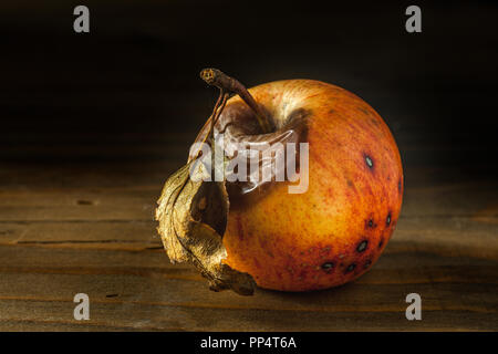 Echte und organische faule Äpfel auf einem Holztisch Stockfoto