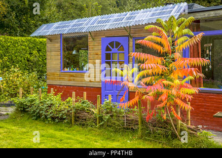 Little Cottage Garden Guest House mit Pflanzen und herbstlich gefärbten Baum Stockfoto