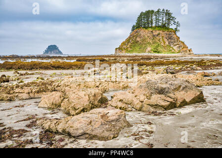 Tskawahyah Insel, Schmeichelei Rocks, Ansicht von Cape Alava, Pazifikküste, Olympic National Park, Washington State, USA Stockfoto