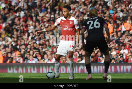 Pierre-Emerick Aubameyang von Arsenal in der Premier League Spiel zwischen Arsenal und Everton im Emirates Stadium am 23. September 2018 in London, England. (Foto von Zed Jameson/phcimages.com) Stockfoto