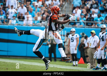 Charlotte, North Carolina, USA. 23 Sep, 2018. Carolina Panthers wide receiver Devin Funchess (17) und Cincinnati Bengals Defensive zurück Darqueze Dennard (21) während des Spiels auf der Bank von Amerika Stadium in Charlotte, NC. Carolina Panthers auf 31 bis 21 über die Cincinnati Bengals gewinnen. Credit: Jason Walle/ZUMA Draht/Alamy leben Nachrichten Stockfoto