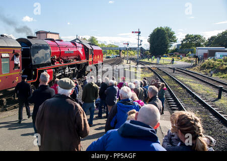 Kidderminster, Großbritannien. 23. September, 2018. Besuch im Dampfbad Riesen am Severn Valley Railway Herbst Dampf Gala sind endlich in ihrer ganzen strahlenden Herrlichkeit gesehen. Gast UK Lokomotive, die Herzogin von Sutherland Nr.6233, verbringt die letzten Tag ihres working holiday Reisen auf dem Erbe Linie zwischen Kidderminster und Bridgnorth per Eisenbahn Begeisterte jeden Alters bewundert werden. Quelle: Lee Hudson/Alamy leben Nachrichten Stockfoto