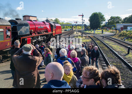 Kidderminster, Großbritannien. 23. September, 2018. Besuch im Dampfbad Riesen am Severn Valley Railway Herbst Dampf Gala sind endlich in ihrer ganzen strahlenden Herrlichkeit gesehen. Gast UK Lokomotive, die Herzogin von Sutherland Nr.6233, verbringt die letzten Tag ihres working holiday Reisen auf dem Erbe Linie zwischen Kidderminster und Bridgnorth per Eisenbahn Begeisterte jeden Alters bewundert werden. Quelle: Lee Hudson/Alamy leben Nachrichten Stockfoto