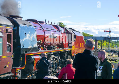 Kidderminster, Großbritannien. 23. September, 2018. Besuch im Dampfbad Riesen am Severn Valley Railway Herbst Dampf Gala sind endlich in ihrer ganzen strahlenden Herrlichkeit gesehen. Gast UK Lokomotive, die Herzogin von Sutherland Nr.6233, verbringt die letzten Tag ihres working holiday Reisen auf dem Erbe Linie zwischen Kidderminster und Bridgnorth per Eisenbahn Begeisterte jeden Alters bewundert werden. Quelle: Lee Hudson/Alamy leben Nachrichten Stockfoto