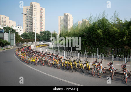 Fahrrad Parkplatz Station mit Teilen Fahrräder helfen die Minimierung der Umweltbelastungen in Peking, China Stockfoto