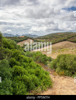 Hügel in der Nähe von Capo D'Orso, Sardinien Stockfoto