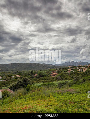 Hügel in der Nähe von Capo D'Orso, Sardinien Stockfoto