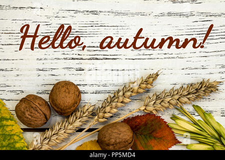 Herbsternte Nahaufnahme bunten Rahmen oder Banner. Thanksgiving oder Herbst Hintergrund mit Text oder Schriftzug. Hallo Herbst Stockfoto