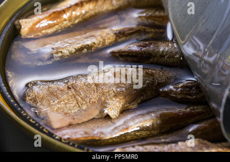 Öffnen Sie können mit Sprotten. Fisch in Öl. Stockfoto