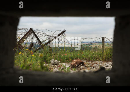 Stacheldraht Verstrickungen im Bild von der deutschen Artillerie Beobachtungsposten während des Ersten Weltkriegs in den wichtigsten de Massiges herum in der Region Marne im Nordosten Frankreichs. Die wichtigsten de Massiges herum war einer der wichtigsten Orte des Ersten Weltkrieges von 1914 bis 1918. Die artillerie Beobachtungsposten und Stacheldraht Verstrickungen wurden bei der Restaurierung restauriert Arbeiten auf dem Gebiet der wichtigsten de Massiges herum Verein realisiert seit 2009. Stockfoto