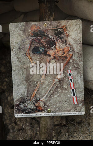 Farbfoto der Skelett eines nicht identifizierten Französischer Soldat im Ersten Weltkrieg gefallenen auf Anzeige im Main de Massiges herum in der Region Marne im Nordosten Frankreichs. Die wichtigsten de Massiges herum war einer der wichtigsten Orte des Ersten Weltkrieges von 1914 bis 1918. Die Reste der französischen Soldaten diente im 23. kolonialen Infanterie Regiment der französischen Armee wurden in der Umgebung im März 2012 während der Restaurierungsarbeiten durch die Wichtigsten de Massiges herum Verein realisiert seit 2009 gefunden. Stockfoto