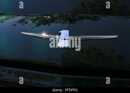 Thunderbird Emblem Stockfoto