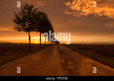 Sonnenuntergang auf einer einsamen Straße im Herbst Stockfoto