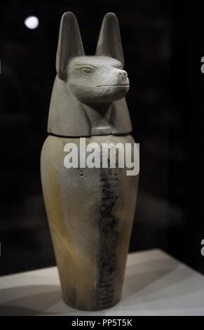 Canopic jar mit Deckel in der Form der Kopf eines Schakals: duamutef. 3. Zwischenzeit. 21. -24. Dynastien. 10.-8. Jahrhunderte v. Chr.. Neues Museum. Berlin. Deutschland. Stockfoto