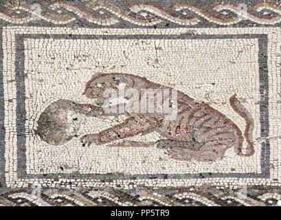 Spanien. Italica. Römische Stadt gegründet ca. 206 v. Chr.. Haus des Planetariums. Mosaik von Bacchus und Ariadne. Tiger. Andalusien. Stockfoto