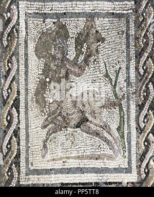 Spanien. Italica. Römische Stadt gegründet ca. 206 v. Chr.. Haus des Planetariums. Mosaik von Bacchus und Ariadne. Andalusien. Stockfoto