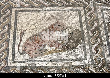 Spanien. Italica. Römische Stadt gegründet ca. 206 v. Chr.. Haus des Planetariums. Mosaik von Bacchus und Ariadne. Tiger. Andalusien. Stockfoto