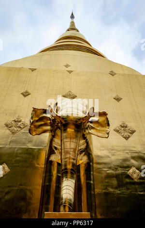 Wat Phra Singh woramahawihan Golden Elephant, Chiang Mai Thailand Stockfoto