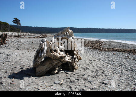 Neuseeland - West Coast. Driftwood Rückstände nach dem Sturm an Bruce Bay Beach. Stockfoto