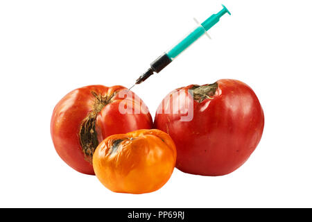 Verwöhnt, Faul drei Tomaten mit Spritze auf weißem Hintergrund. Stockfoto