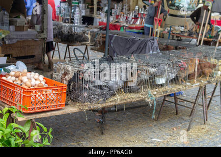 Espinho, Portugal. Lebendes Geflügel, das in Kisten verpackt ist und auf einem Markt im Freien in Espinho, Portugal, verkauft wird. Stockfoto