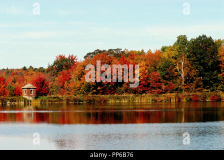 Panorama von erstaunlich Bunte Bäume im Herbst in einem See im Staat New York wider. Stockfoto