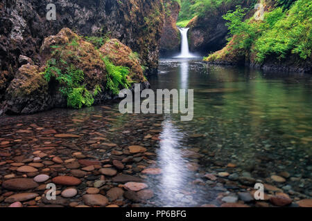 Des Oregon Eagle Creek gießt über Punchbowl fällt in der Columbia River Gorge National Scenic Area. Stockfoto