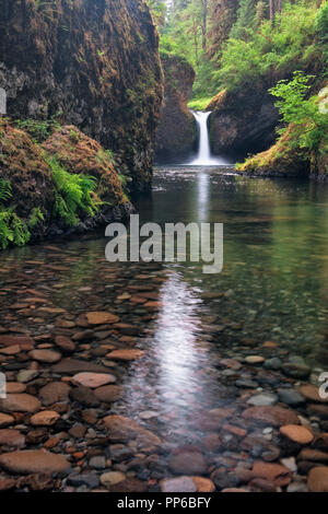 Des Oregon Eagle Creek gießt über Punchbowl fällt in der Columbia River Gorge National Scenic Area. Stockfoto