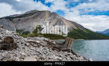 Schöne Bergwelt von Upper Kananaskis Lake an einem kühlen bewölkten und regnerischen Tag im Frühsommer. Stockfoto