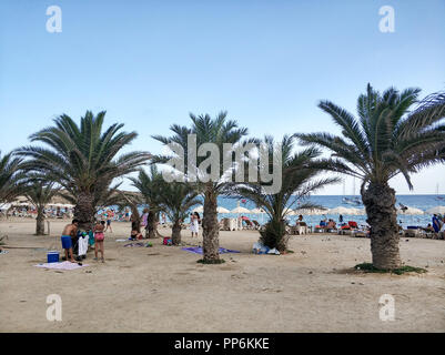 Insel Tabarca, Spanien - September 4,2018: Üppige Palmen auf dem Kiesstrand der Insel Tabarca, Hochsaison. Viele Reisende und Urlauber Stockfoto