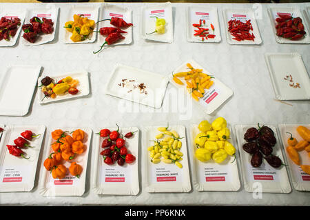 Das Besucherzentrum der Dendrologische Garten die Chili Verkostung organisieren, von Peter Gajdostin in Prag, Tschechische Republik am 23. September, 20-led Stockfoto