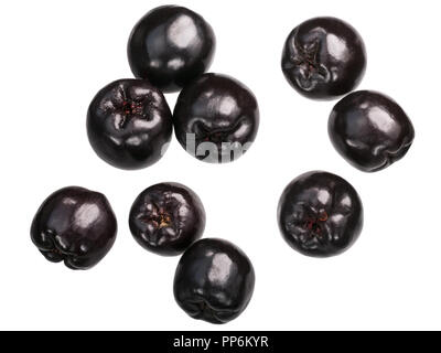 Schwarz chokeberries (Aronia melanocarpa Früchte), Ansicht von oben Stockfoto