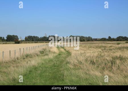 Path / track through meadow field on Rye Harbour Nature Reserve, Rye, East Sussex, England, United Kingdom Stockfoto