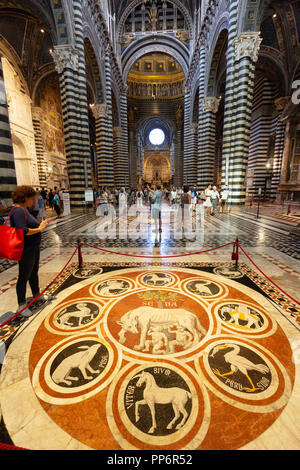 Der marmorboden Mosaiken, in das Innere der Kathedrale von Siena (Duomo Siena), Siena, Toskana Italien Europa Stockfoto