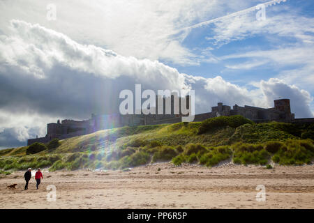 Der Mann und die Frau zu Fuß ihren Hund am Strand entlang auf Bamburgh Northumberland, England Großbritannien mit Bamburgh Castle in den Boden zurück Stockfoto