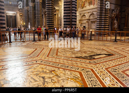 Die Leute, die auf der Suche an der Marmorboden Mosaiken, in das Innere der Kathedrale von Siena (Duomo Siena), Siena, Toskana Italien Europa Stockfoto