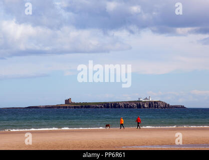 Der Mann und die Frau zu Fuß ihren Hund am Strand entlang auf Bamburgh Northumberland, England Großbritannien mit der Farne Islands in den Boden zurück Stockfoto