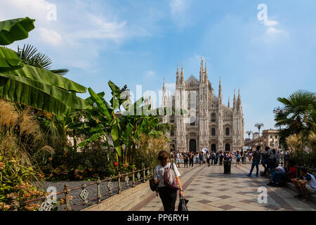 Mailand, Italien - 21 September 2018 ​: Palmen an der Piazza Duomo, Mailand, Italien Stockfoto