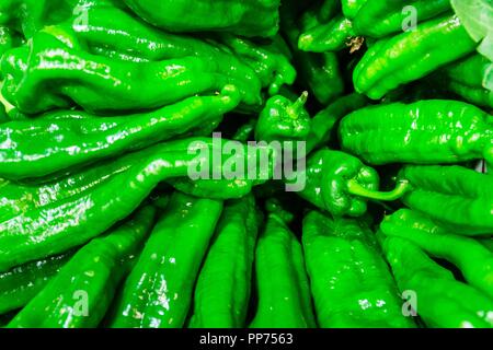 Pimientos Verdes, Mercado s Olivar, Palma, Mallorca, Balearen, Spanien. Stockfoto