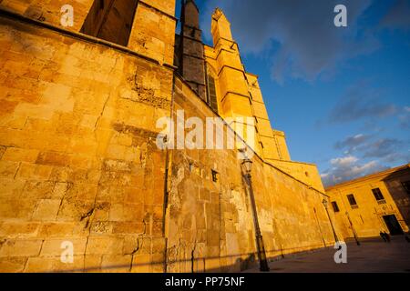 Portal tapiado en la Plaza del Mirador, Catedral de Mallorca, siglo XIII, Monumento histórico - artístico, Palma, Mallorca, Balearen, Spanien, Europa. Stockfoto