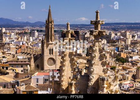 Gotica iglesia de Santa Eulàlia, siglos XIV-XIX Desde la Catedral de Mallorca, siglo XIII, Monumento histórico - artístico, Palma, Mallorca, Balearen, Spanien, Europa. Stockfoto