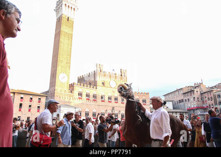 Siena, Siena, Italien. 16 Aug, 2018. Unterstützer der Contrada Lupa gesehen feiern den Sieg während der Pferderennen. Jockey Giuseppe Zedde Gingillo genannt, der Contrada Lupa, gewinnt das historische Pferderennen Palio di Siena 2018. Racers konkurrieren auf dem Pferd zweimal im Jahr bei diesem Rennen. Credit: Cosimo Martemucci/SOPA Images/ZUMA Draht/Alamy leben Nachrichten Stockfoto