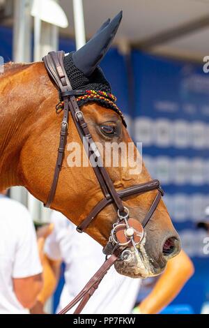 Tryon North Carolina, USA. 23. September, 2018. DSP-Alice. GER. FEI World einzelnen Springen Meisterschaft. Springen. Tag 12. World Equestrian Games. WEG 2018 Tryon. North Carolina. USA. 23.09.2018. Credit: Sport in Bildern/Alamy leben Nachrichten Stockfoto