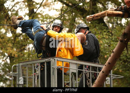 Manheim, Deutschland. 24. September, 2018. 24. September 2018, Nordrhein-Westfalen, Manheim: im Hambacher Forst, ein Demonstrant wird von der Polizei ein Seil gehängt. Die Behörden weiterhin die Evakuierung des Tree Houses der Aktivisten. Nach dem NRW-Ministerium des Innern, die erste Vertreibung Bestellungen wurden am Montag nach einem Moratorium über mehrere Tage ausgestellt. Foto: David Young/dpa Quelle: dpa Picture alliance/Alamy leben Nachrichten Stockfoto