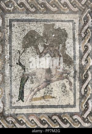 Spanien. Italica. Römische Stadt gegründet ca. 206 v. Chr.. Haus des Planetariums. Mosaik von Bacchus und Ariadne. Zentaur. Andalusien. Stockfoto