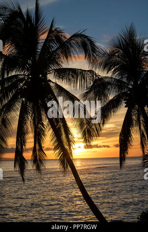 Bild vertikal Palmen in Silhouette vor der Sonne am Horizont über Meer Stockfoto