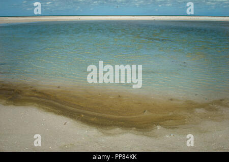 Abstrakte Seascape, schönen und ruhigen Wasser und Sand. Küste von Yucatan, Mexiko. Stockfoto