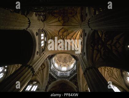 Spanien. Kastilien und Leon. Salamanca. Neue Kathedrale. 16.-18.Jahrhundert. Gotik und Barock. Sart Rippe Vault. Stockfoto