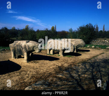 TOROS DE GUISANDO - VERRACOS DE VETTONES - ESCULTURA EN PIEDRA - S III/II AC. Lage: CERRO DE GUISANDO. EL TIEMBLO. Spanien. Stockfoto